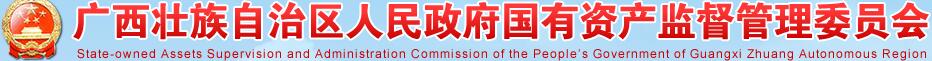 廣西壯族自治區人民政府國有資產監督管理委員會